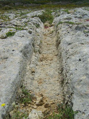 Clapham common cart ruts, malta.