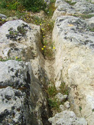 clapham common cart ruts, malta